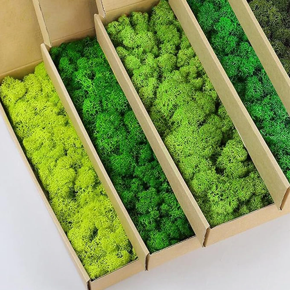 20-200g plantes vertes artific - Terrarium Moss Art avis et prix