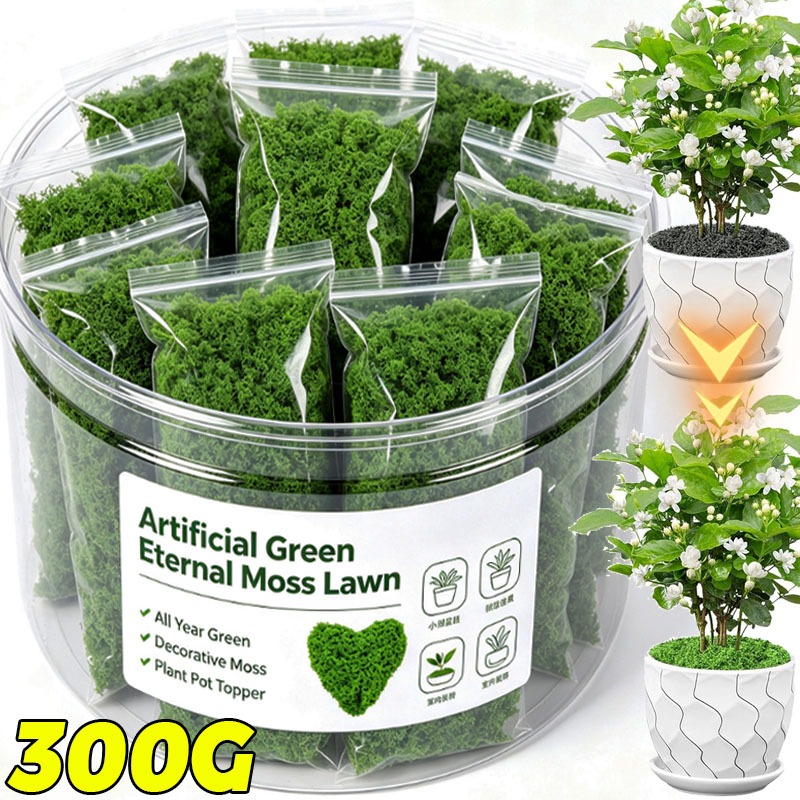 Plantes vertes artificielles,  - Terrarium Moss Art avis et prix
